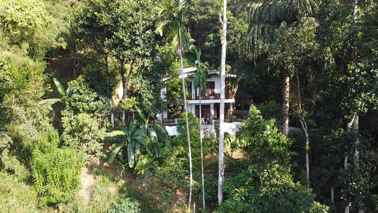 Villa25 Homestay Free Pick Up From The Centre 康提 外观 照片