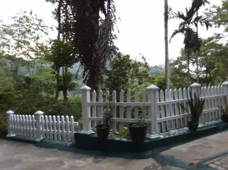 Villa25 Homestay Free Pick Up From The Centre 康提 外观 照片