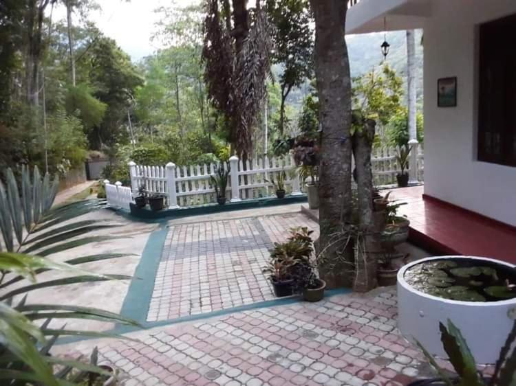 Villa25 Homestay Free Pick Up From The Centre 康提 外观 照片