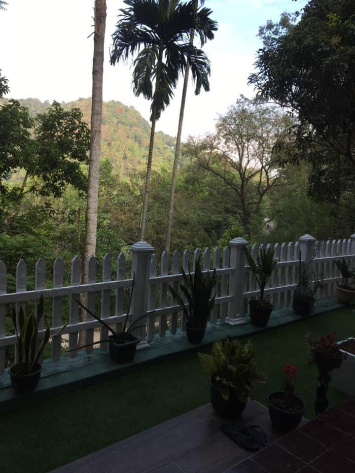 Villa25 Homestay Free Pick Up From The Centre 康提 外观 照片