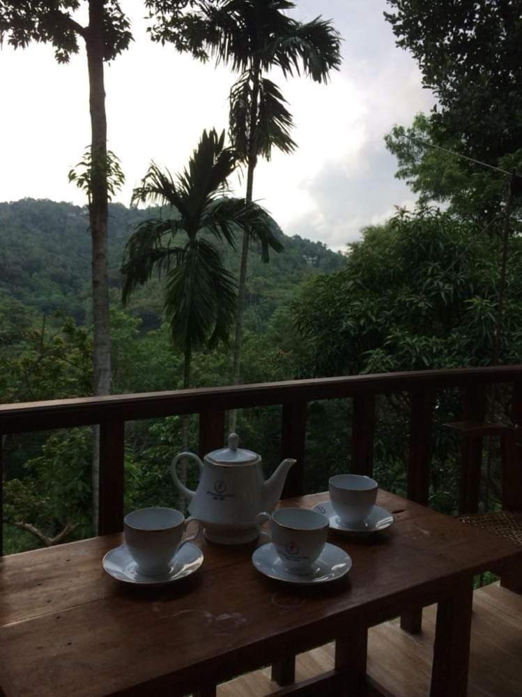 Villa25 Homestay Free Pick Up From The Centre 康提 外观 照片