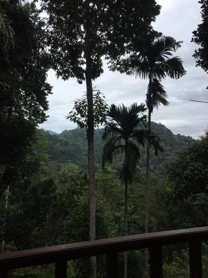 Villa25 Homestay Free Pick Up From The Centre 康提 外观 照片